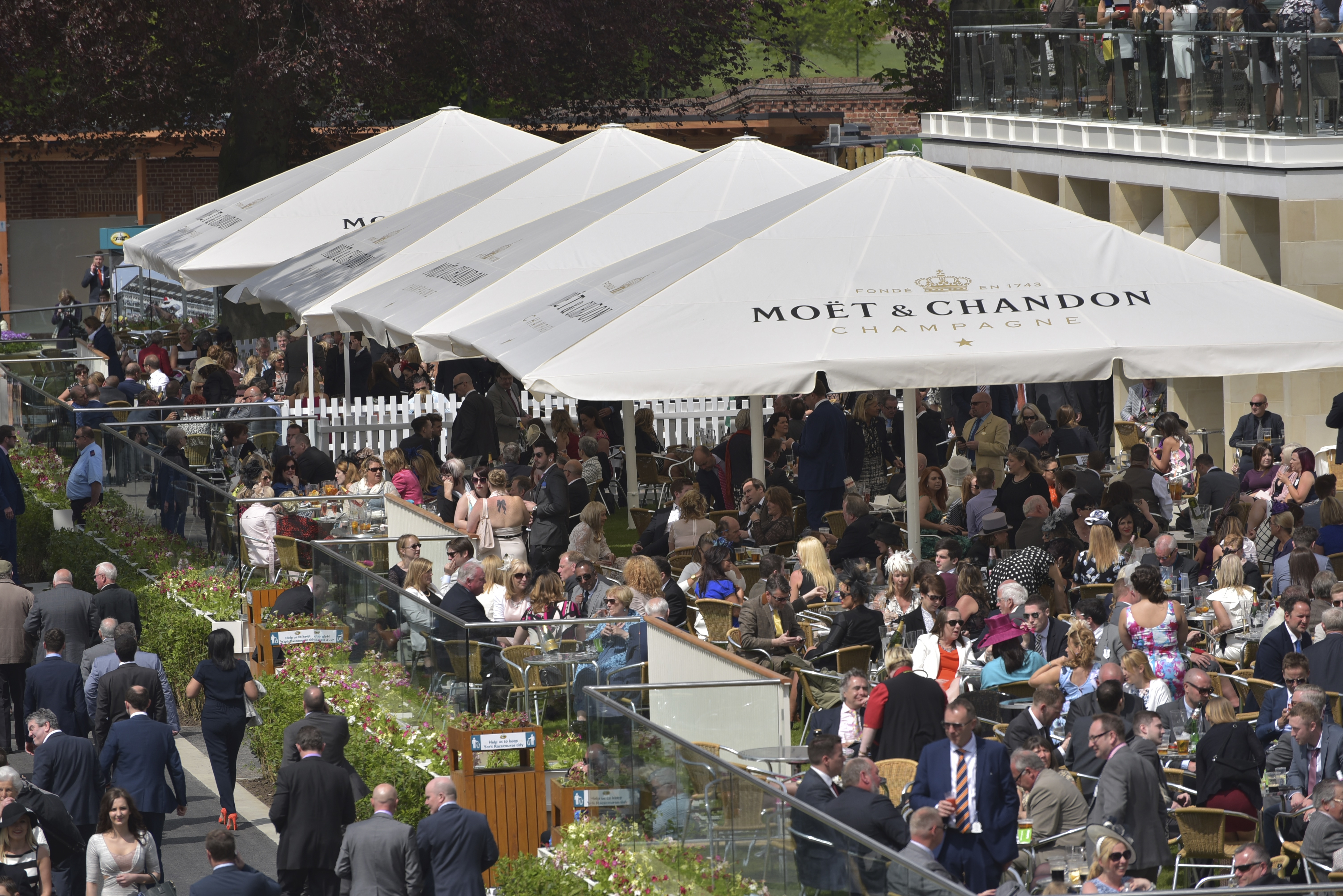 Summer Music Saturday